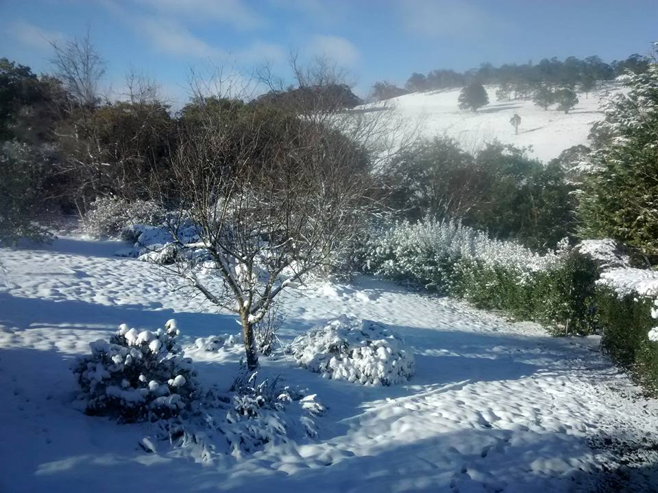 Cold competition Is the NSW town of Blayney or Oberon the chilliest