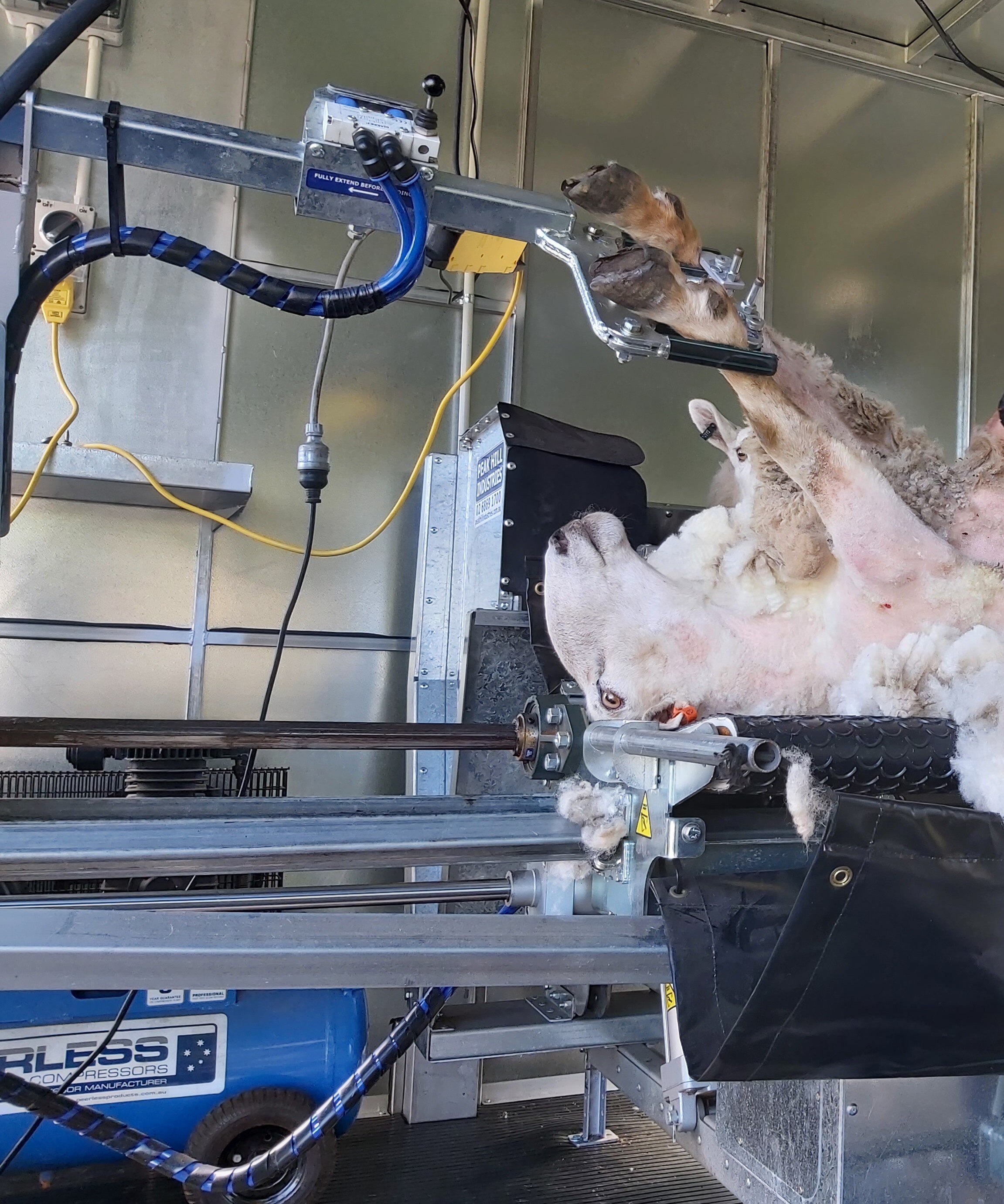 Shearers use mobile shearing platform to find solution to backbreaking