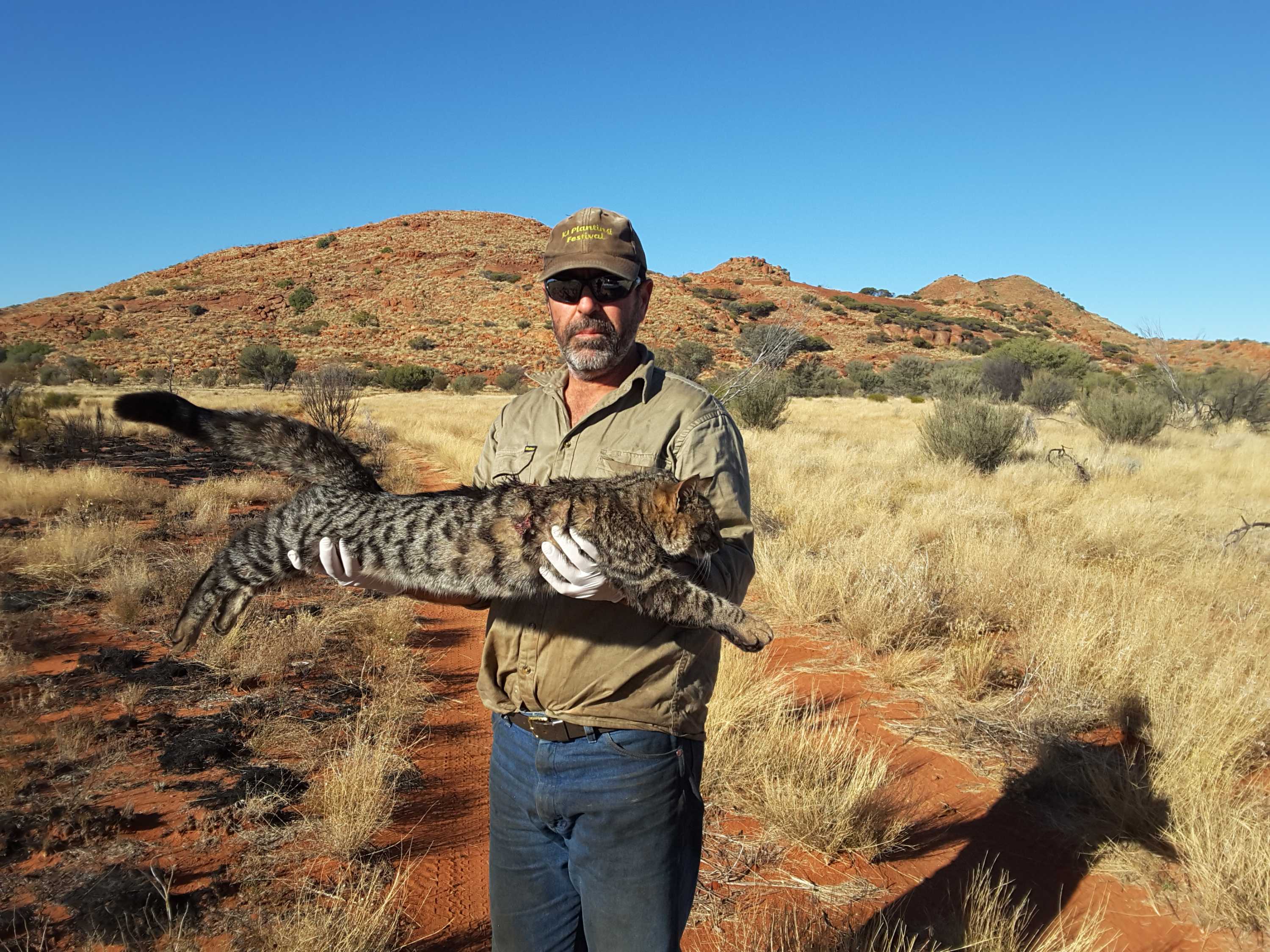 Rachel Mealey ABC News