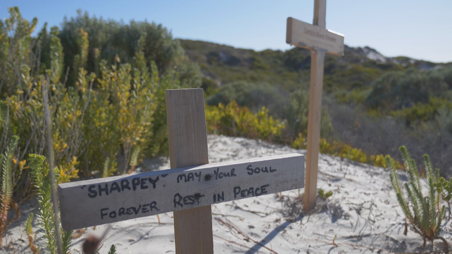 Three fatal shark attacks in three years won't stop Esperance residents