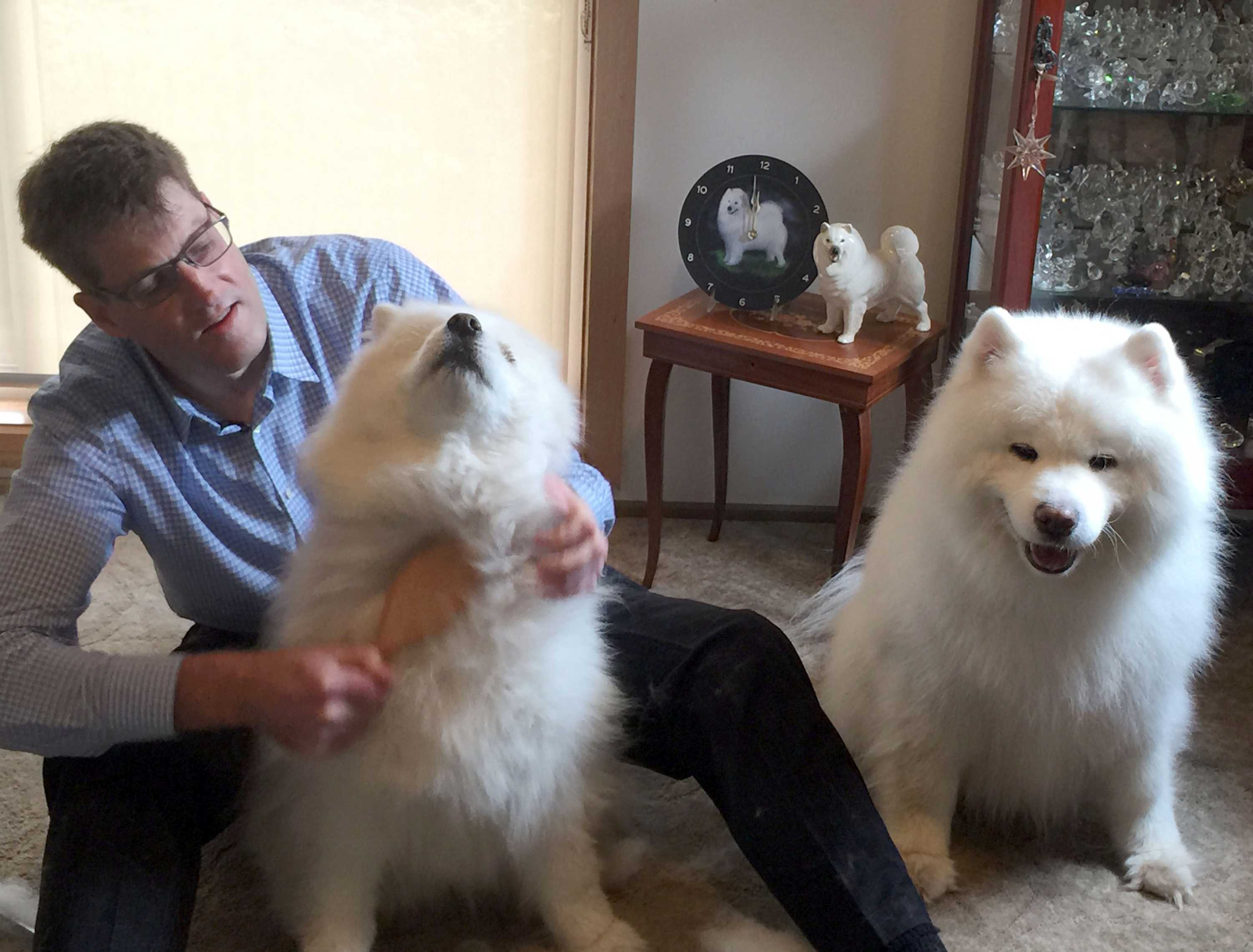 Pet hair yarn Clothing made from dogs proving popular for animal