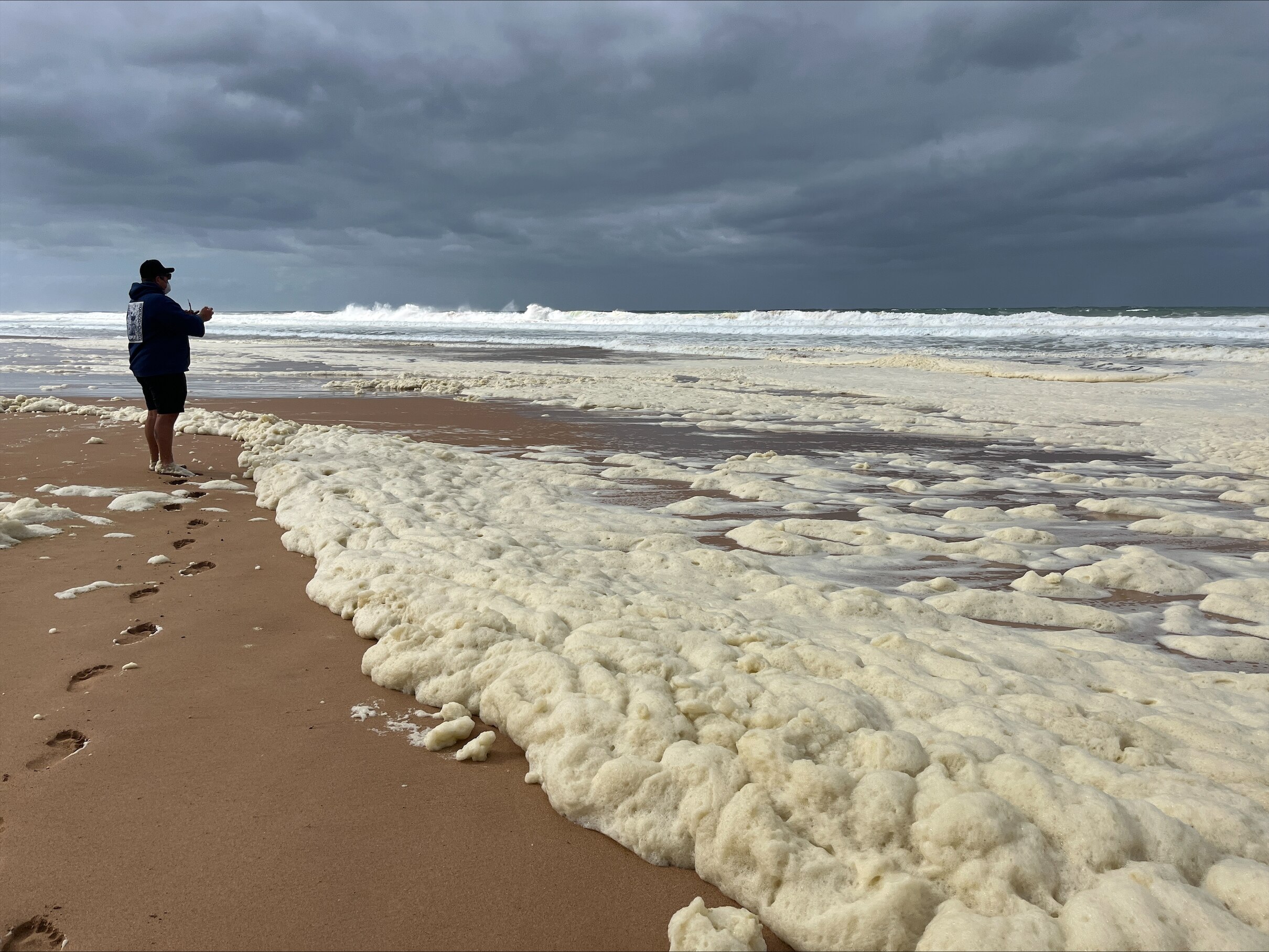 Persistent algae bloom causing political headaches as scientists are(09)