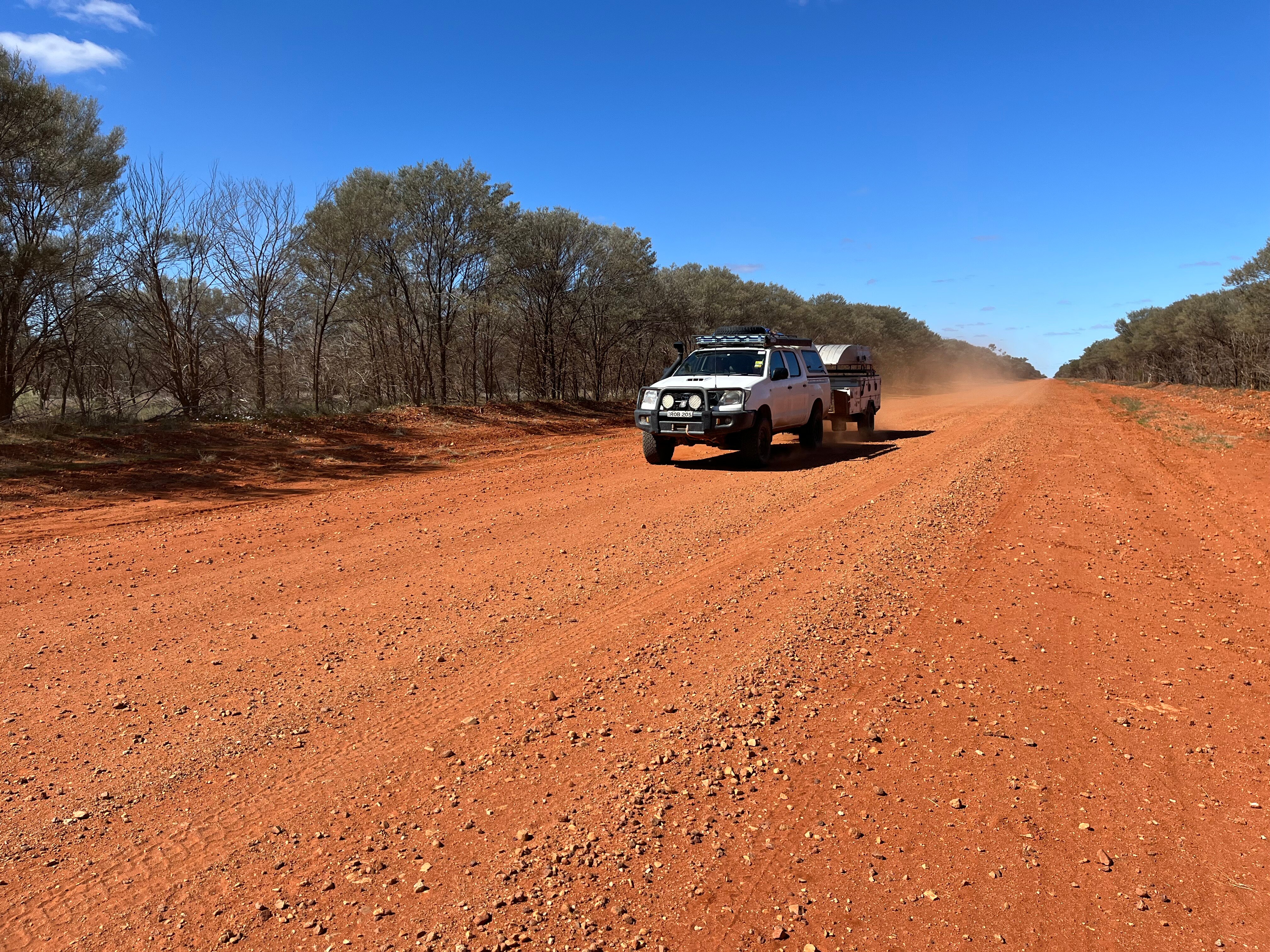 Little outback town’s driver reviver helping to save wildlife orphans