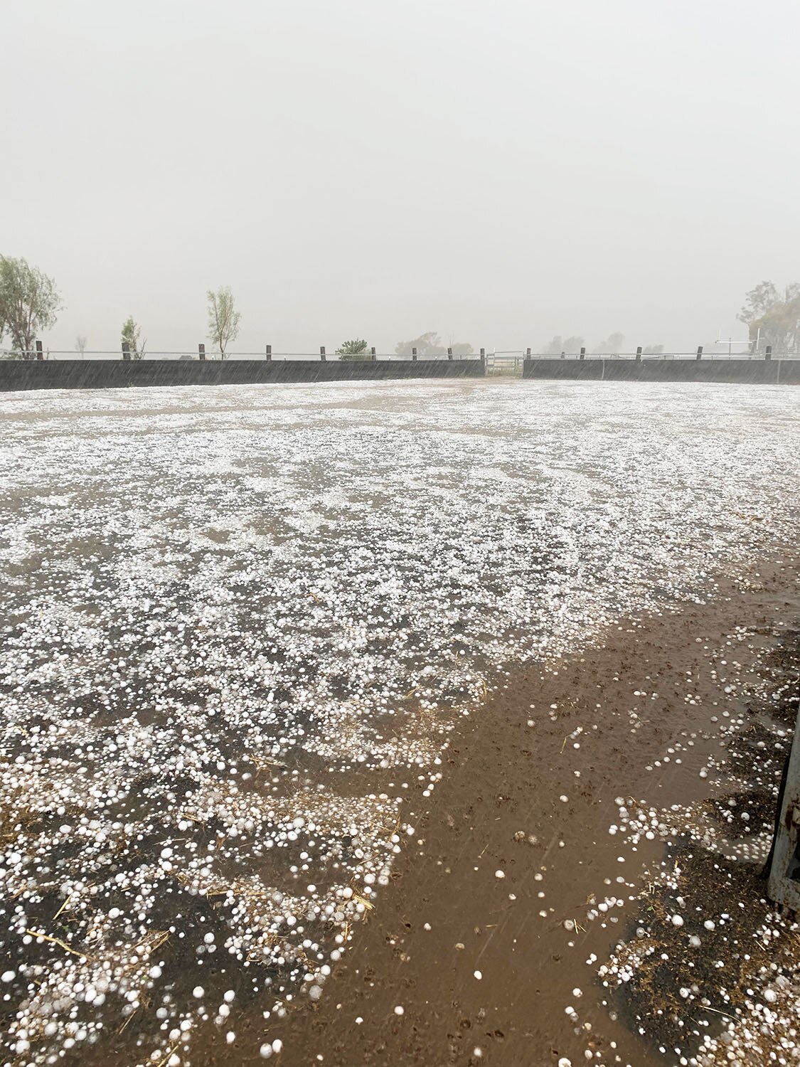 Two tornadoes seen as severe storms sweep across Queensland ABC News