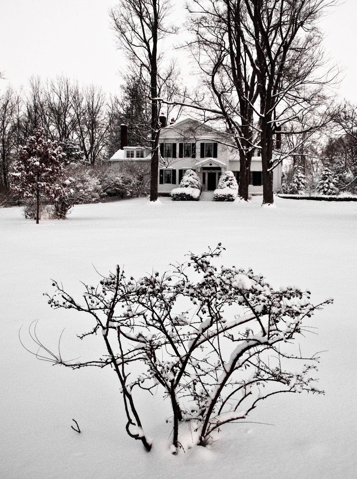 Beckwith Mansion in the Snow HiRes