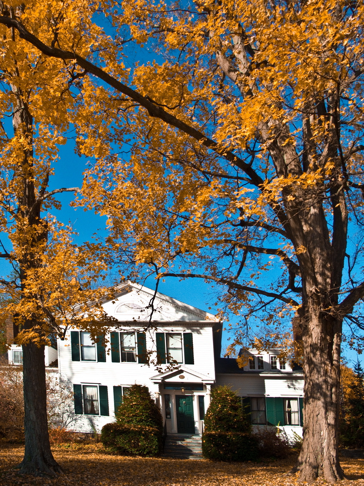 Beckwith Mansion in Autumn 6755 HiRes vertical