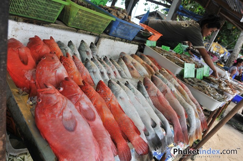 Fresh Seafood Market at Rawai Pier Phuket live travel & living guide