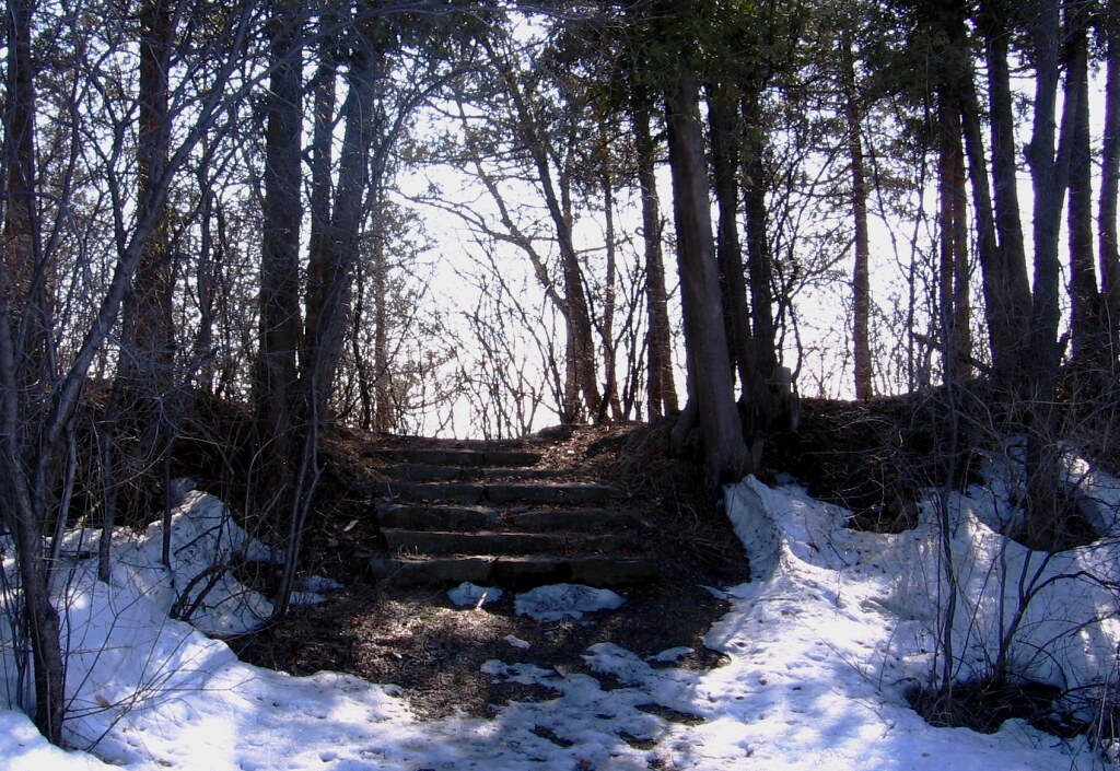 Ile Bizard Lotlorien ? No, Ile Bizard Denis SaintMaurice Flickr