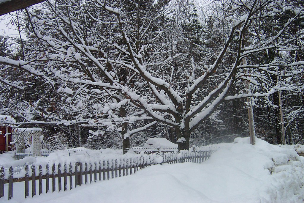 Vermont 2003 Snowy Vermont.. cold, but pretty! Shelly Devincentis Flickr