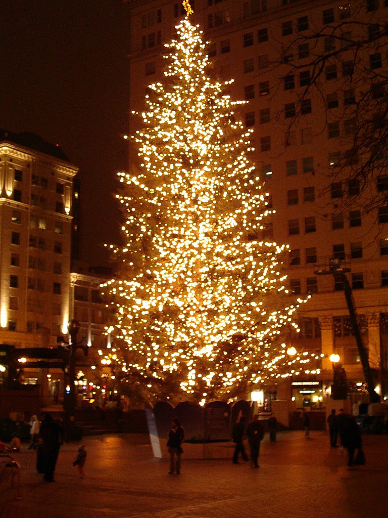 Municipal Tree The official Portland Christmas tree in Pio… Flickr
