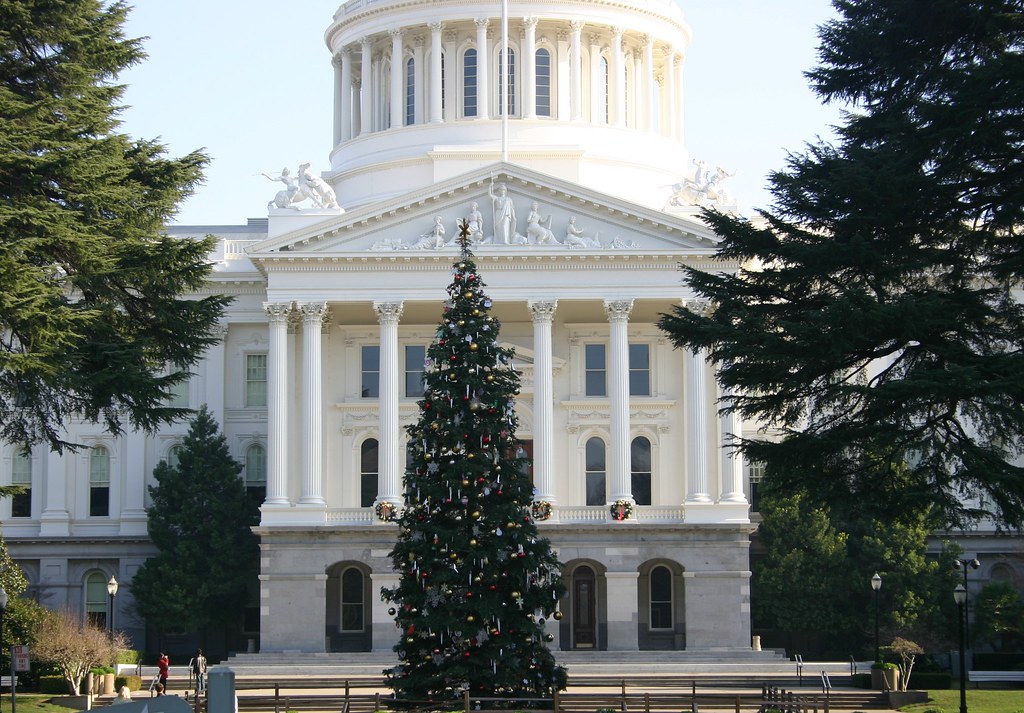 sacramento xmas tree The Christmas Tree in front of the ca… Flickr