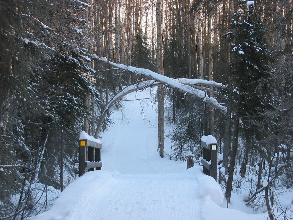 Cross Country Skiing in Anchorage in Russian Jack Park Flickr