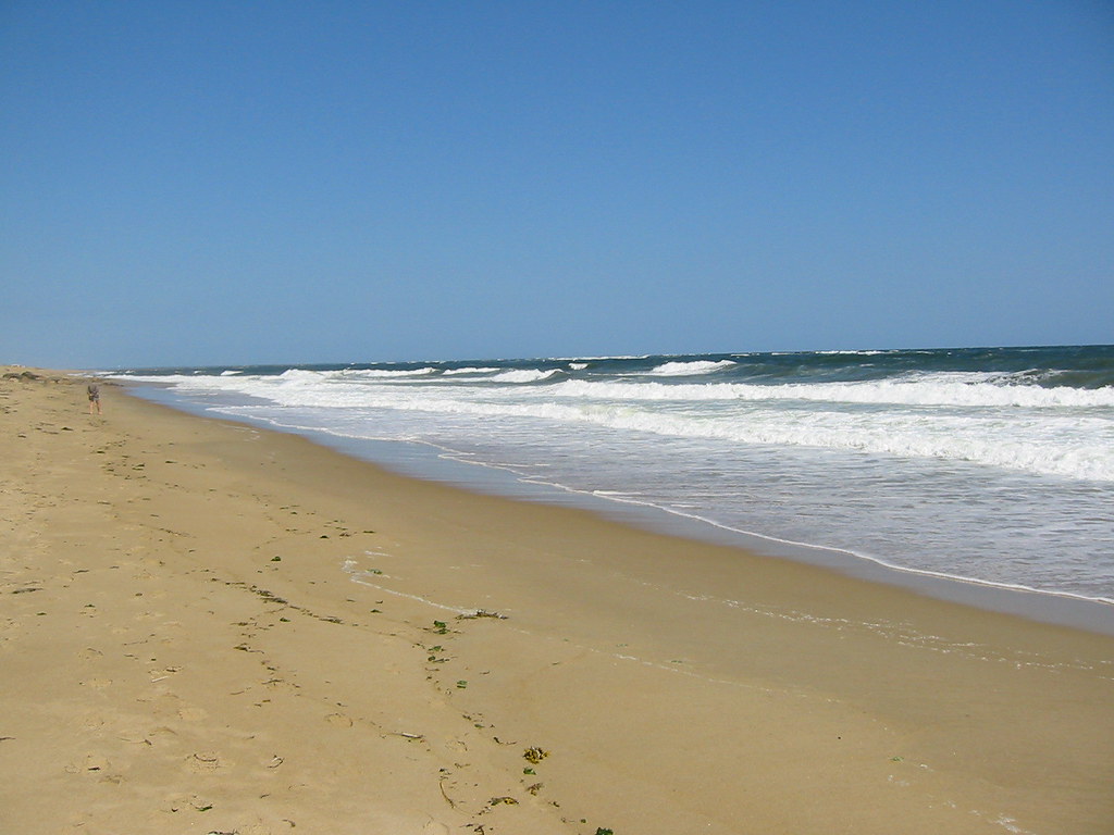 1010120_IMG Plum Island Center beach, looking north. Gerald
