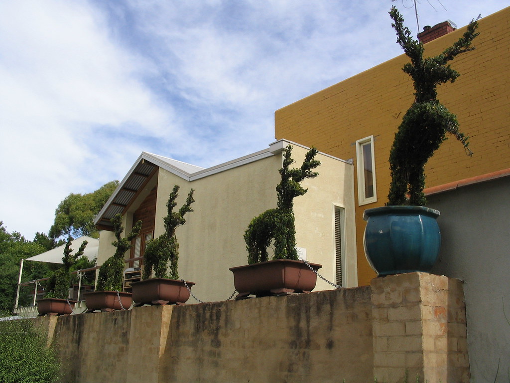 bonsai raindeer Bonsai farm near my house in Hawthorn Scott Sandars Flickr