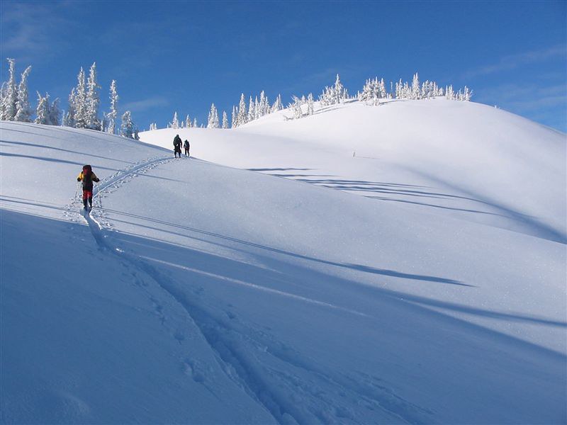 14 Best Snowshoe Trails Around Vancouver