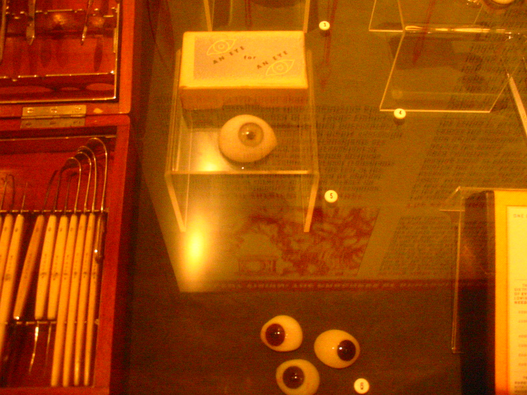 eye for an eye glass eye display at the museum of surgical… Flickr