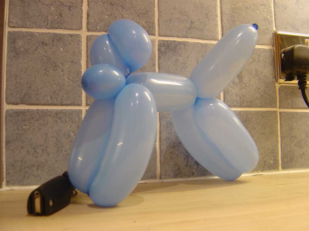 BalloonDog This is the first balloon animal I ever made. … Flickr