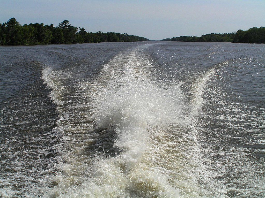 wash from boat Louisiana Swamp Tour New Orleans, Louisiana… Leo