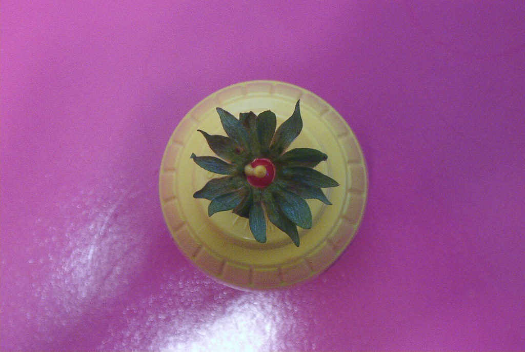 Blooming Mustard A mustard bottle topped with strawberry g… Flickr