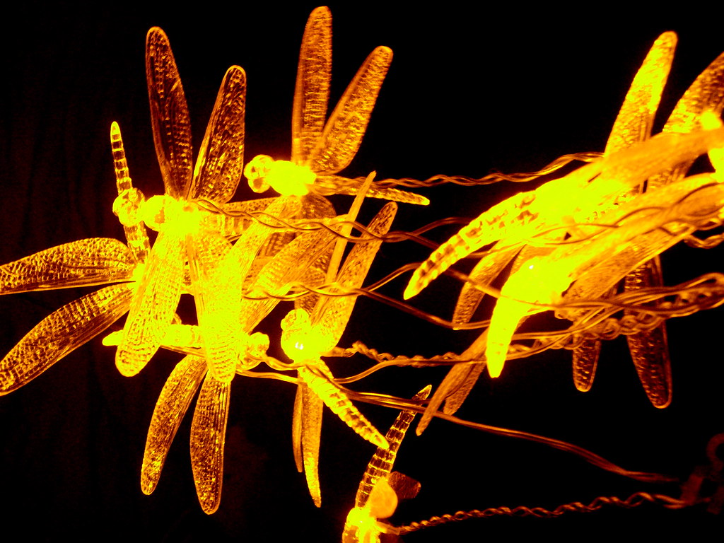 Dragonfly Patio Lights Our new Ikea purchase Flickr