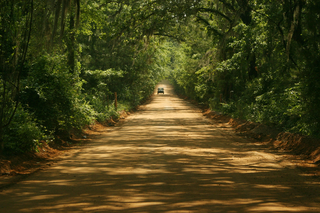 Orchard Pond Road One of Tallahassee's beautiful clay road… tangent