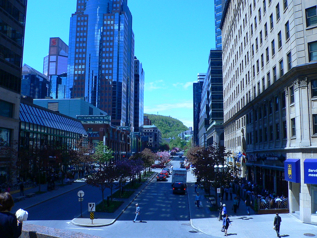 Wide shot of McGill College Avenue It was a day i… Flickr