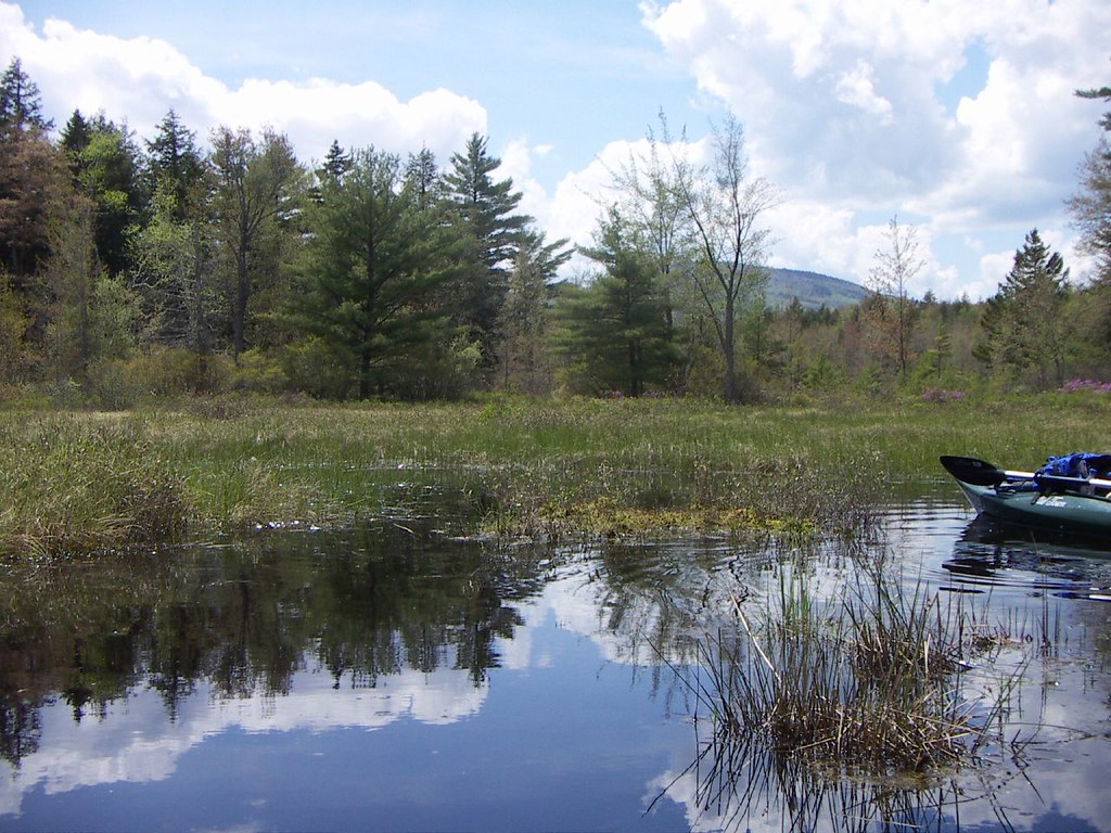 52805 Kayaking Upper Kimball Lake (4) The southern end o… Flickr