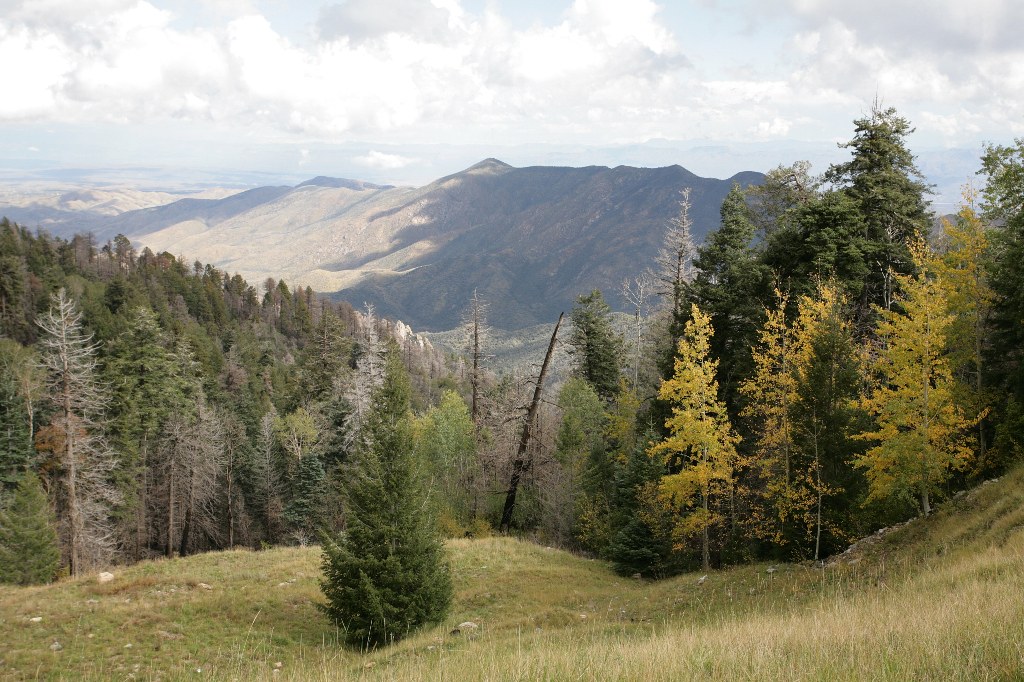Mt. Lemmon / Ski Valley Thomas Stapelberg Flickr