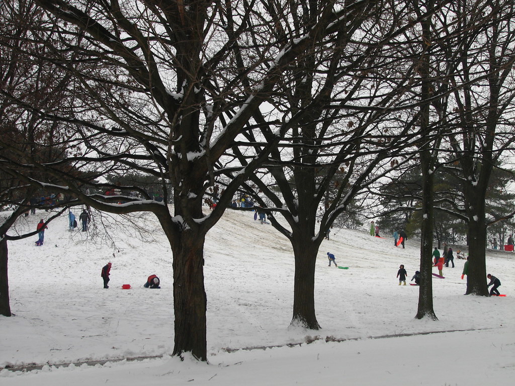 hackberry hill o único morro da cidade fica atrás do nosso… Flickr