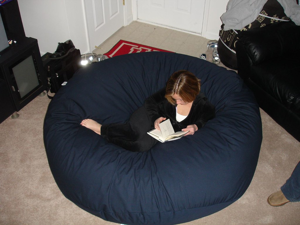 Huge Bean Bag Chair LoveSac Love Sac Comfy Sack Fombag Flickr