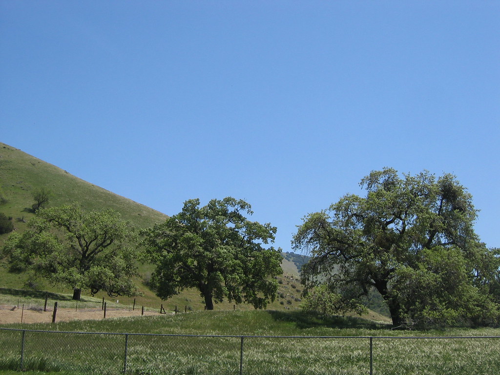 Tejon School, Lebec 4/28/07 FrazierMtnMom Flickr