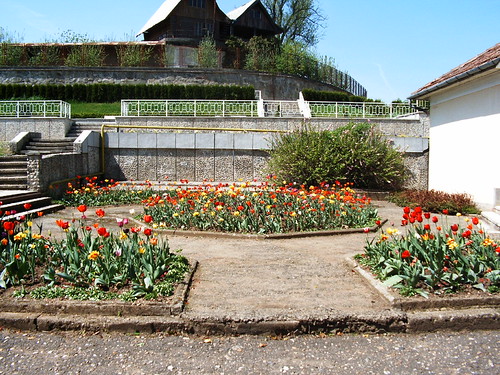 Gradina Botanica Jibou See where this picture was taken.… Flickr