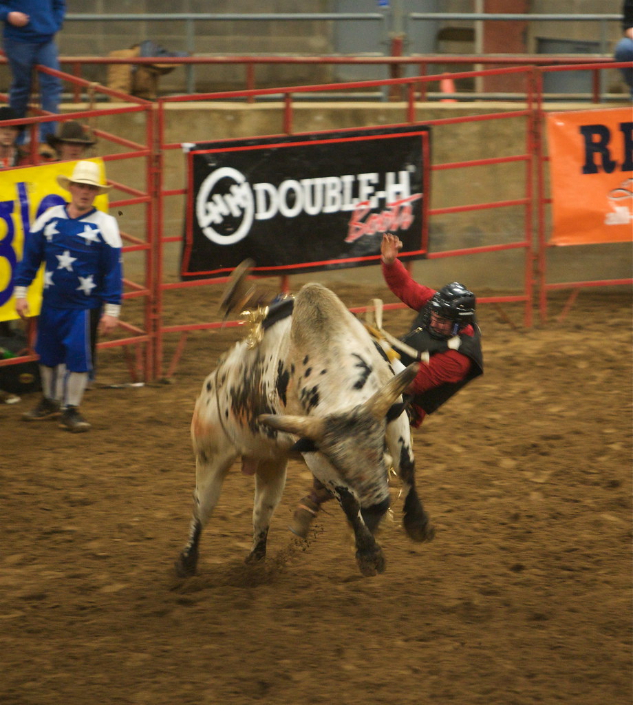 Bull Riding Bull Riding, Harriman Rodeo, Roane State Commu… Flickr