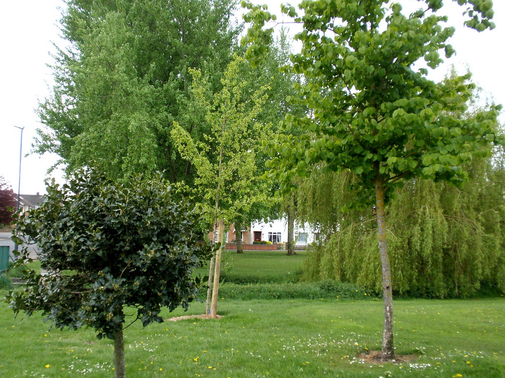 Woodlands Peace Garden. Sutton Avenue Open Space, Coventry… Flickr