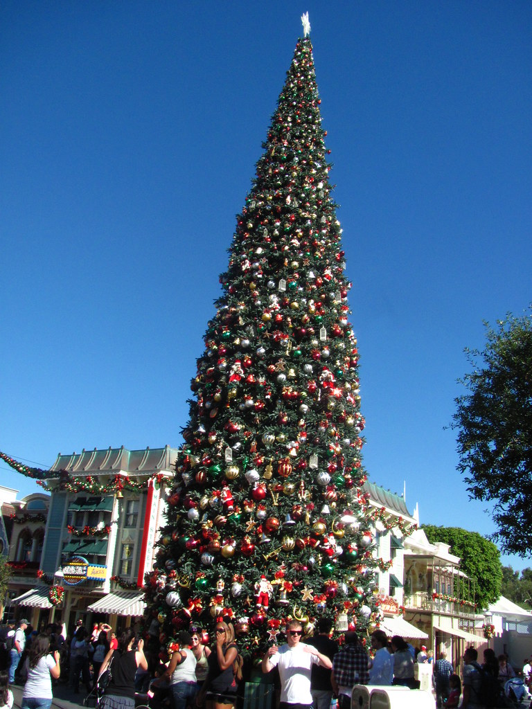 Disneyland Christmas Tree in Town Square on Main Street US… Flickr