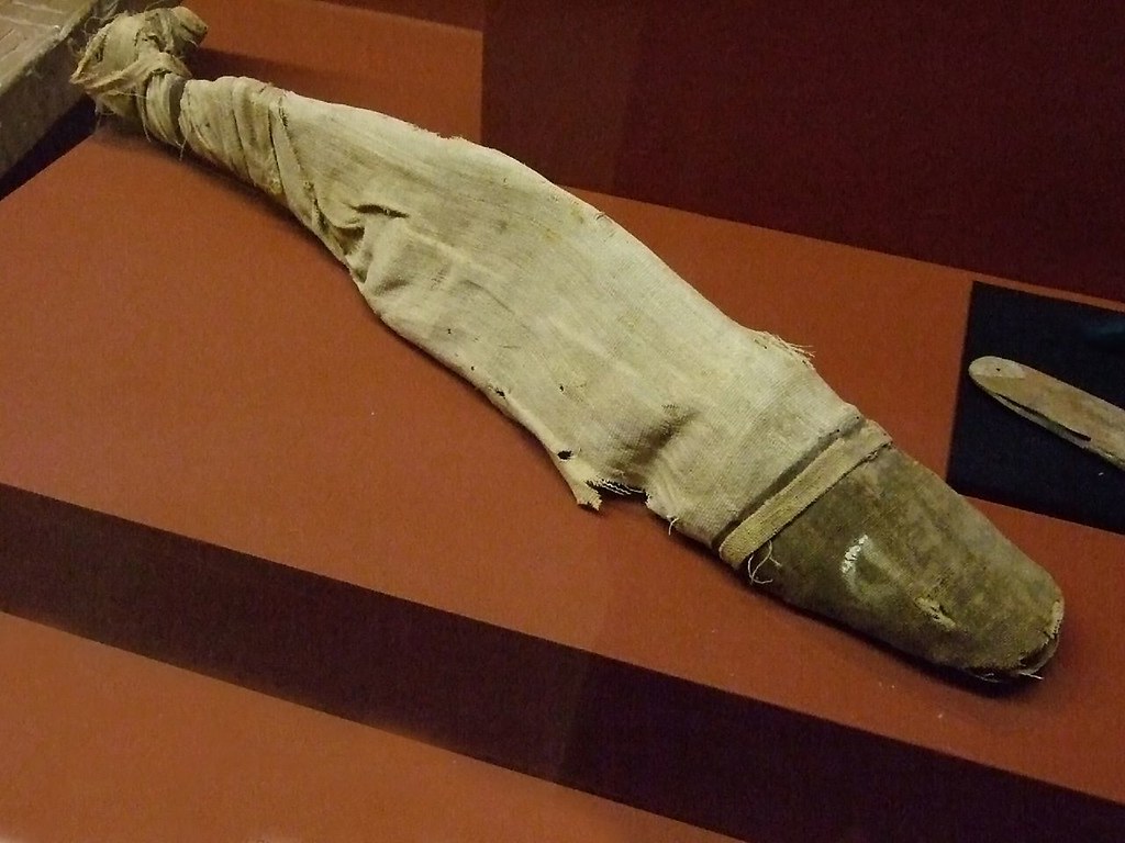 Mummified Nile Catfish funerary food offering MIddle Kingdom Egypt a