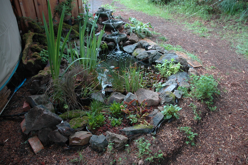 BioFiltered Koi Pond Cover Occidental Arts & Ecology Center Flickr