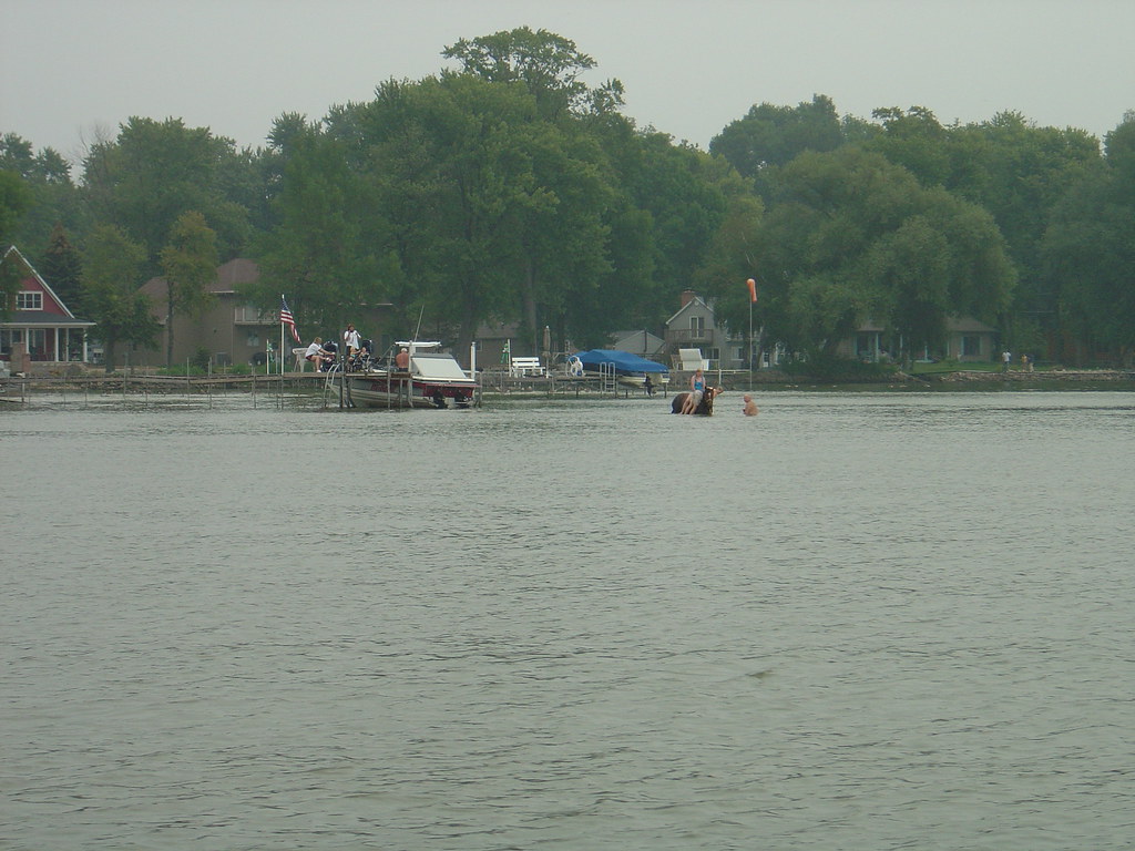Horse in Lake Winnebago While riding around on the boat on… Flickr