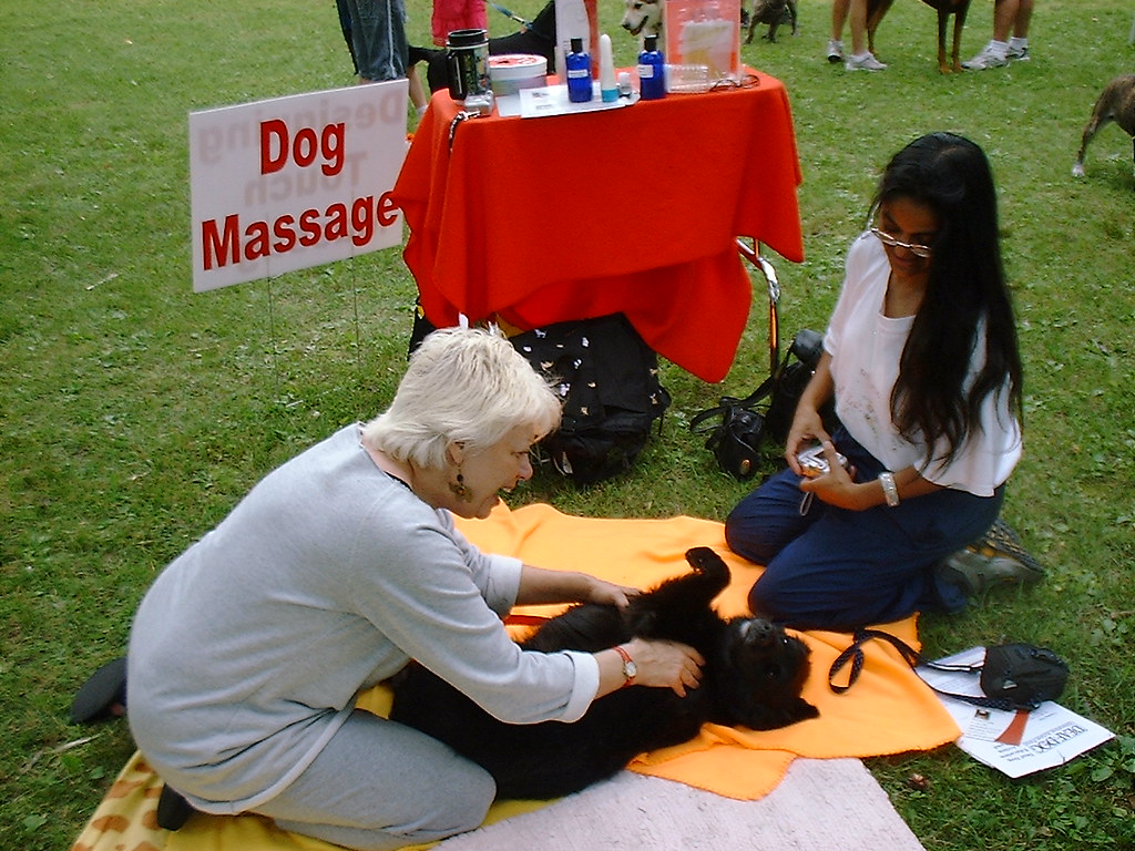 dog massage MBK (Marjie) Flickr