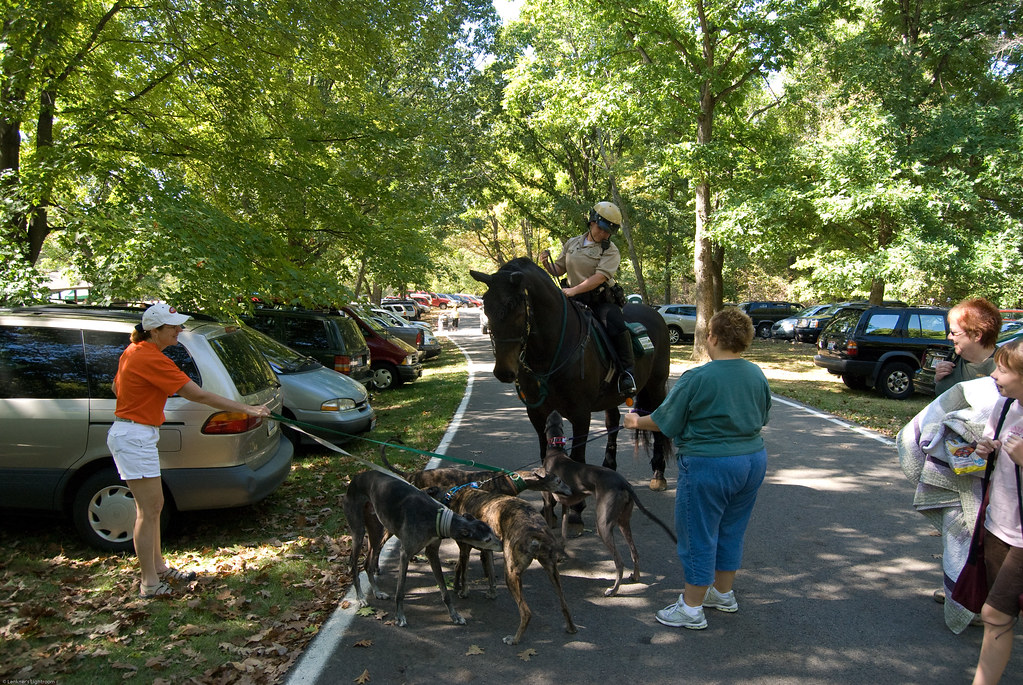 2007 Greyt Cincinnati Greyhound Gathering Flickr