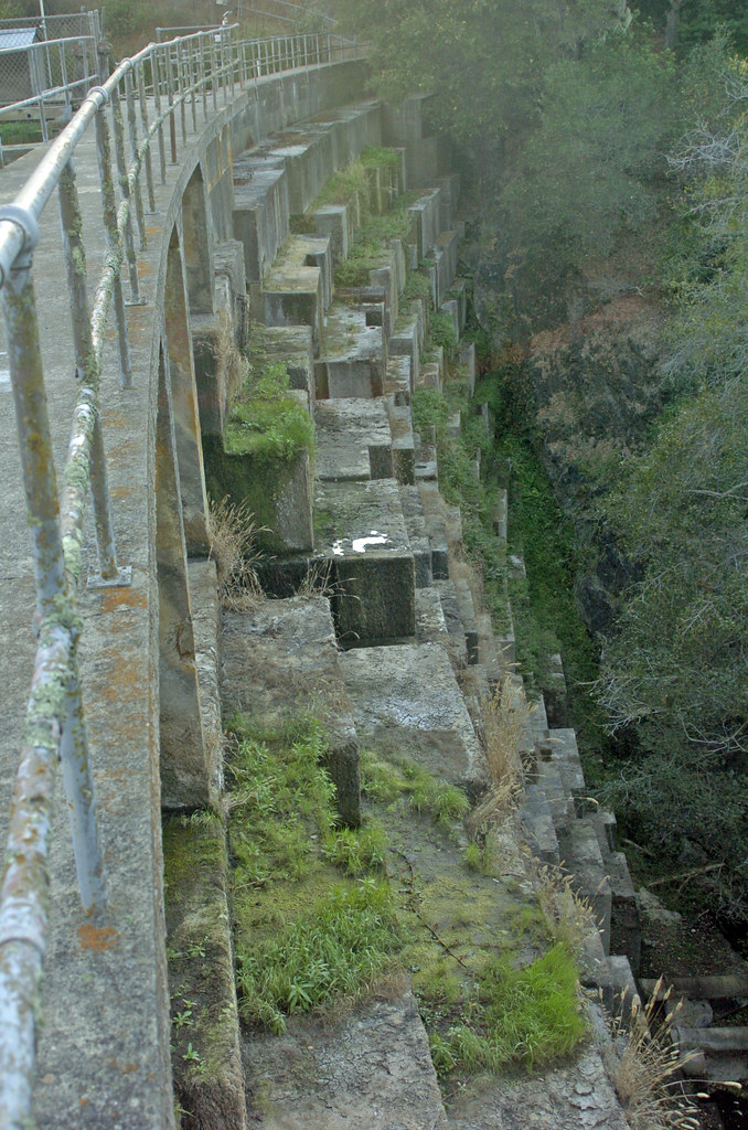 searsville dam shugyou Flickr