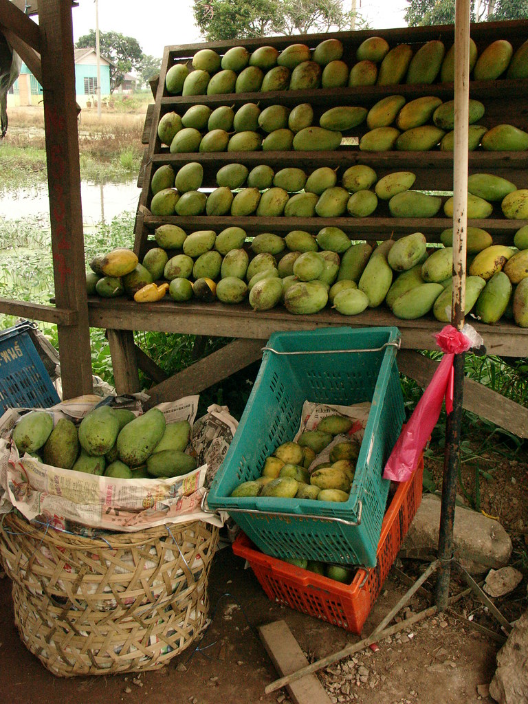 Mangoes for Sale These roadside fruit stalls caught my eye… Flickr