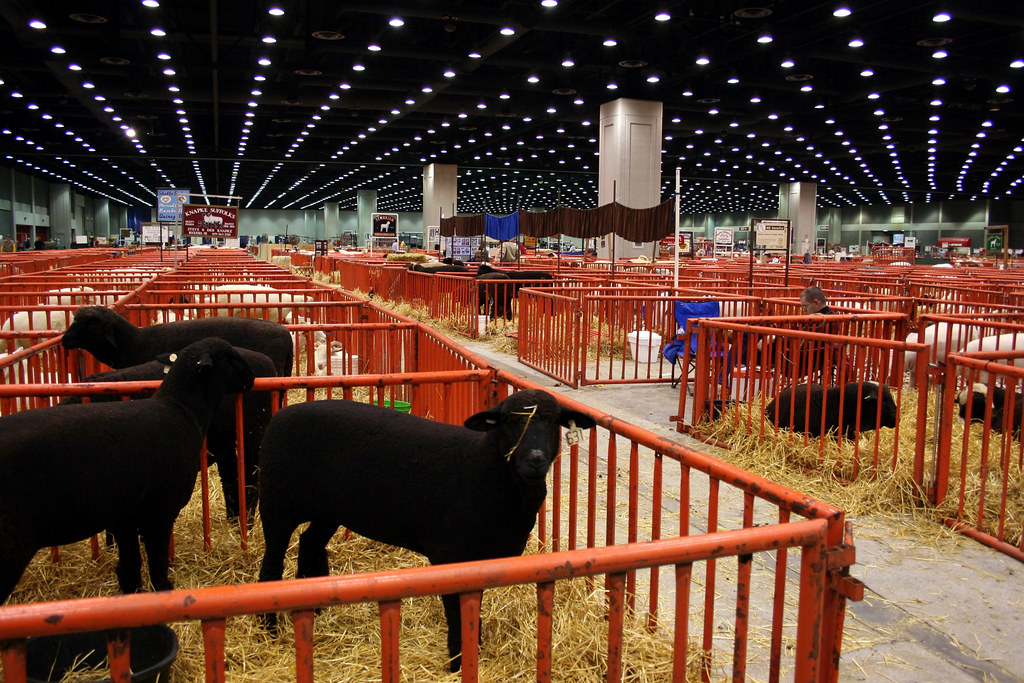 The North American International Livestock Exposition th… Flickr