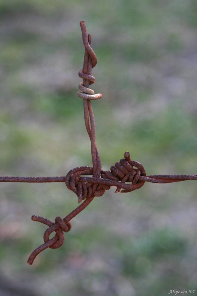 barbed wire knot Wouldnt fancy that job! goldcreek manual