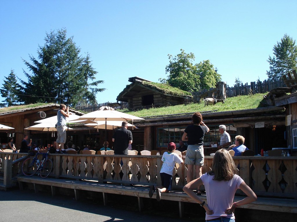 Goats on the roof Coombs, BC. We were overwhelmed by the