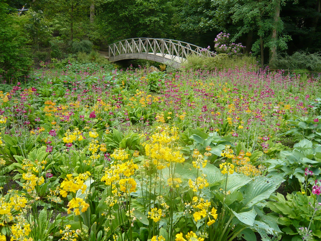 Harewood Himalayan Garden gardenerstips.co.uk/blog/ Flickr