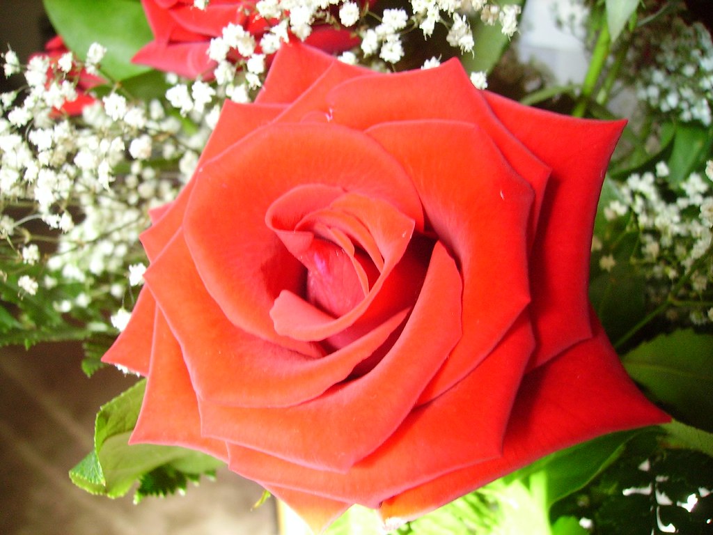 Anniversary Flowers 011 Anniversary rose bouquet Flickr