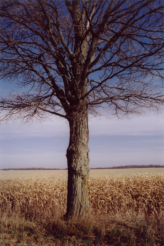 Autumn in Maryhill Maryhill, Ontario is a little community… Flickr