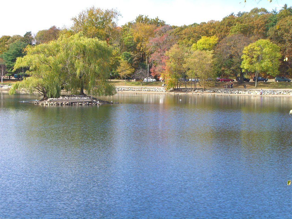 Pond Overview From The Jamaica Pond Project (10.22.06) Sam