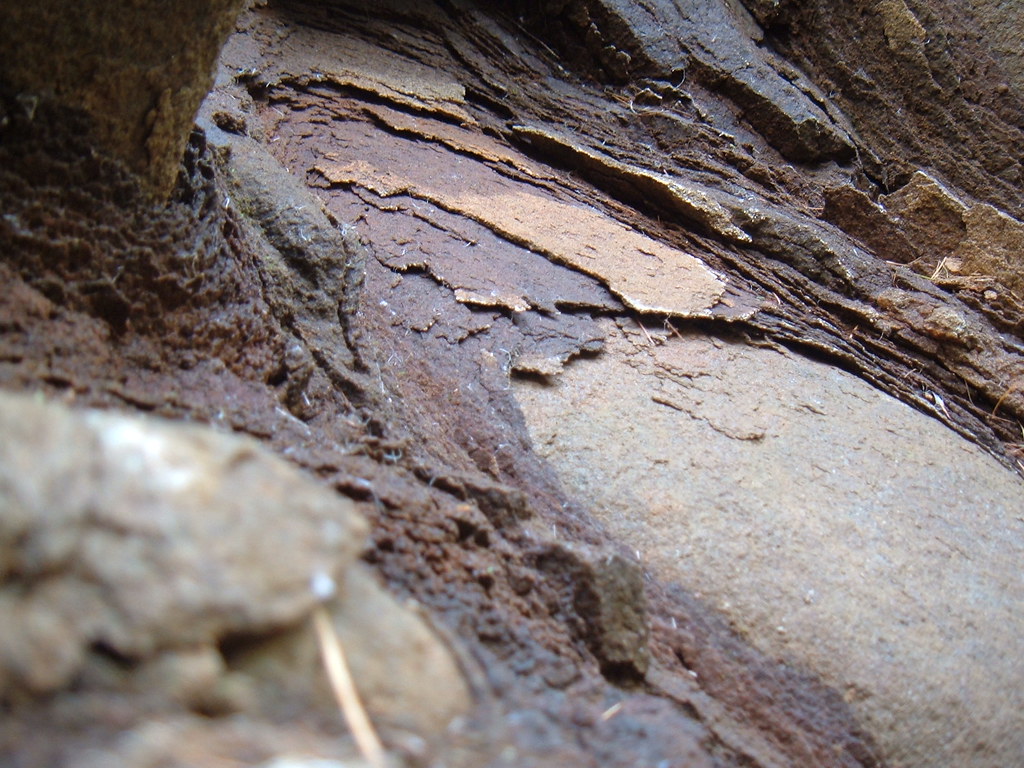 Onion? Onion Skin weathering! Gordon Thomson Flickr